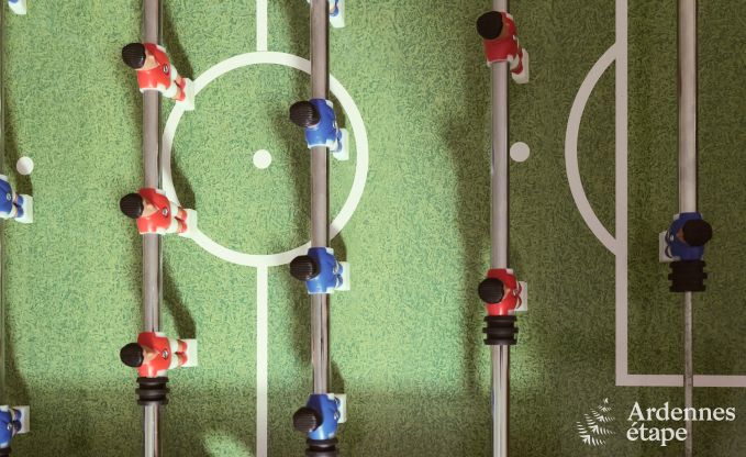 Villa in Marche-en-Famenne voor 28 personen met 11 slaapkamers, binnenzwembad en sauna