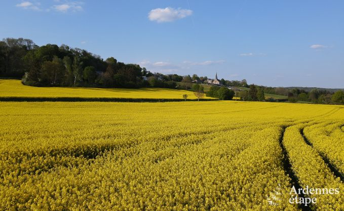 Vakantiehuis in Marchin voor 4/6 personen in de Ardennen