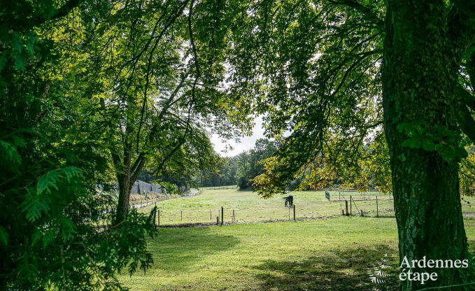 Vakantiehuis in Maredsous voor 9 personen in de Ardennen