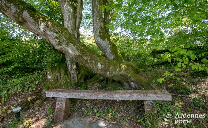 Romantische chalet aan het water voor 2 personen in Momignies
