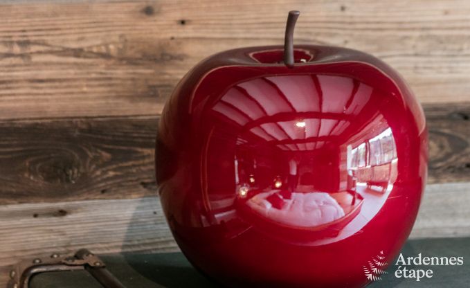 Romantische chalet aan het water voor 2 personen in Momignies