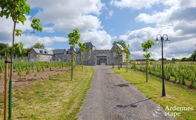 Vakantiehuis in Nandrin voor 8 personen in de Ardennen