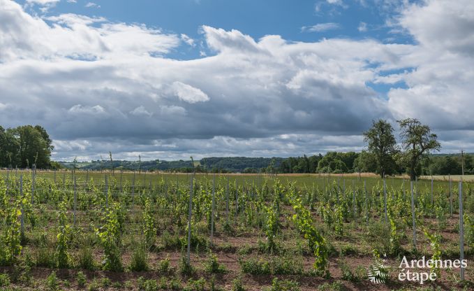 Vakantiehuis in Nandrin voor 8 personen in de Ardennen
