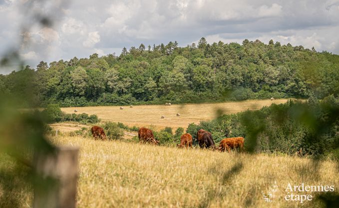 Buitengewoon in Nassogne voor 2 personen in de Ardennen