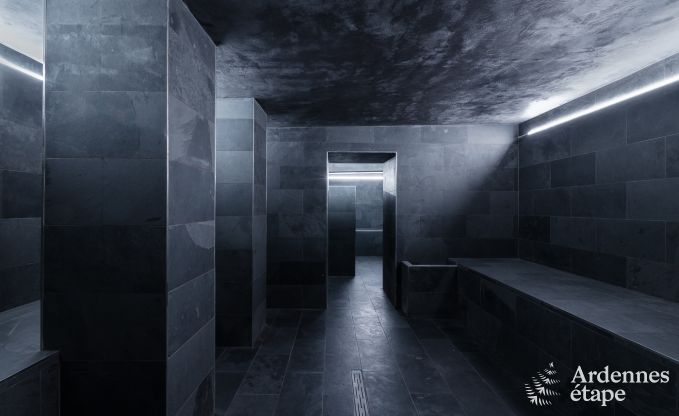 Luxe villa in Neufch�teau voor 20 personen met grote wellnessruimte
