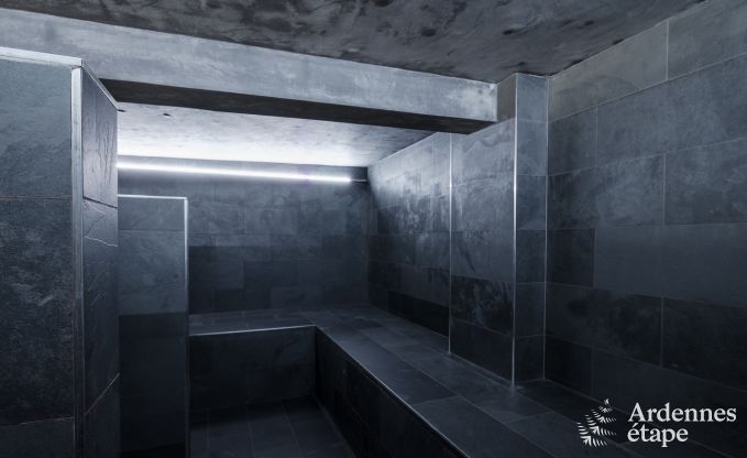 Luxe villa in Neufch�teau voor 20 personen met grote wellnessruimte