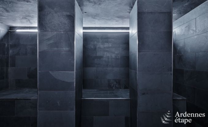 Luxe villa in Neufch�teau voor 20 personen met grote wellnessruimte