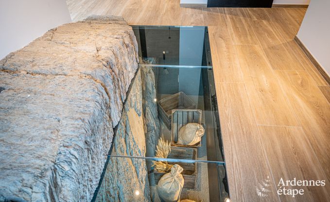 Vakantiehuis in Neufch�teau voor 22/24 personen in de Ardennen