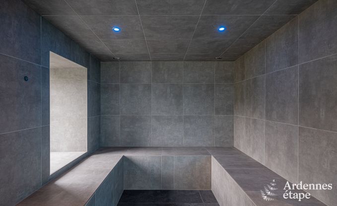 Vakantiehuis in Neufch�teau voor 22/24 personen in de Ardennen