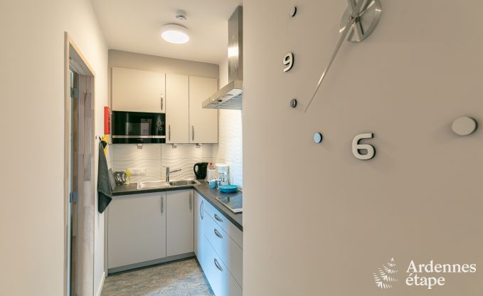 Vakantiehuis in Neufchteau voor 18/23 personen in de Ardennen