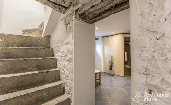 Schitterende vakantiewoning in Onhaye met zwembad, jacuzzi, sauna en speelkamers voor 14 personen nabij Dinant