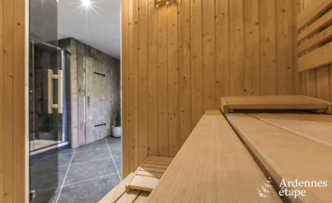 Schitterende vakantiewoning in Onhaye met zwembad, jacuzzi, sauna en speelkamers voor 14 personen nabij Dinant