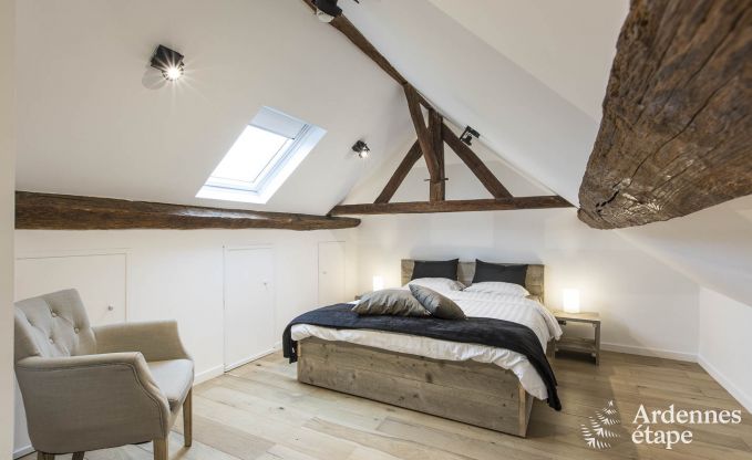 Schitterende vakantiewoning in Onhaye met zwembad, jacuzzi, sauna en speelkamers voor 14 personen nabij Dinant