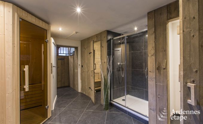 Schitterende vakantiewoning in Onhaye met zwembad, jacuzzi, sauna en speelkamers voor 14 personen nabij Dinant