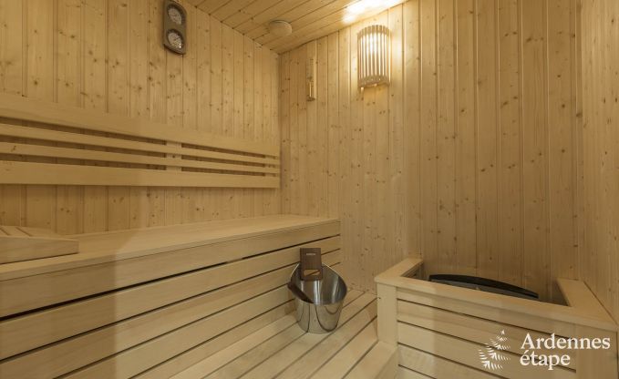 Schitterende vakantiewoning in Onhaye met zwembad, jacuzzi, sauna en speelkamers voor 14 personen nabij Dinant