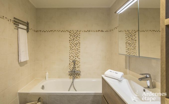 Schitterende vakantiewoning in Onhaye met zwembad, jacuzzi, sauna en speelkamers voor 14 personen nabij Dinant