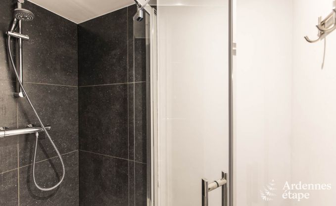 Schitterende vakantiewoning in Onhaye met zwembad, jacuzzi, sauna en speelkamers voor 14 personen nabij Dinant