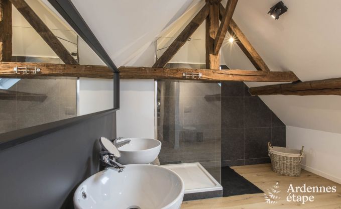 Schitterende vakantiewoning in Onhaye met zwembad, jacuzzi, sauna en speelkamers voor 14 personen nabij Dinant