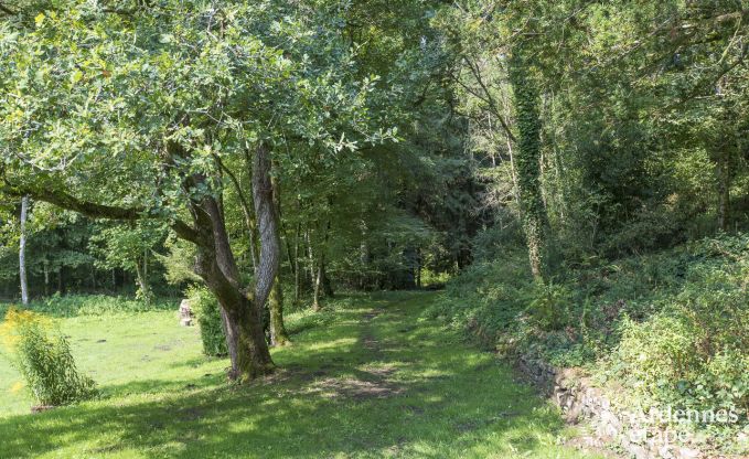 Vakantiehuis in Orval voor 8 personen in de Ardennen