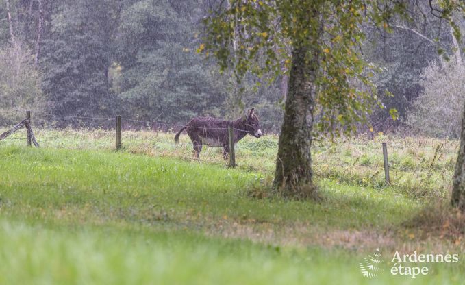 Vakantiehuis in Orval voor 6 personen in de Ardennen