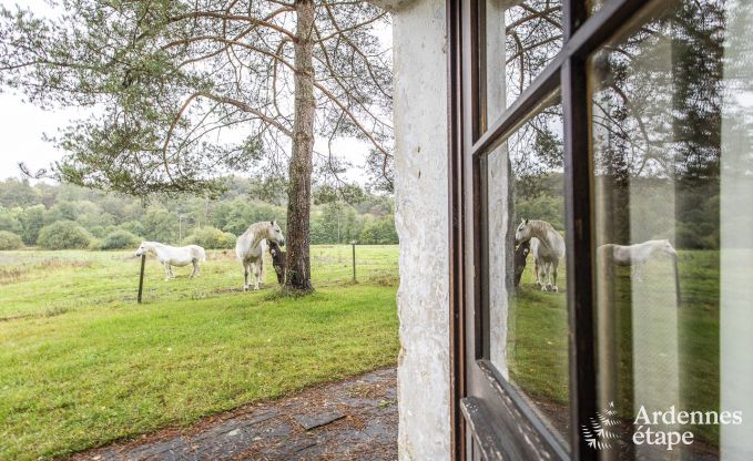 Vakantiehuis in Orval voor 6 personen in de Ardennen