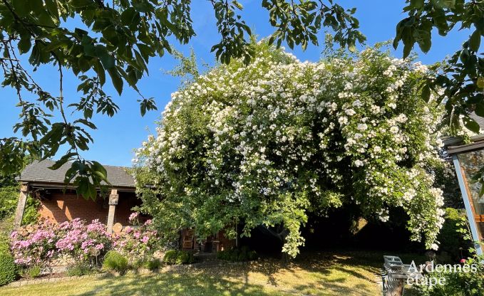 Charmant, hondvriendelijk vakantiehuis in Ouffet, Ardennen