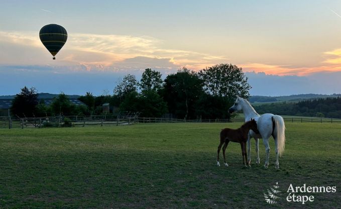 Volledig gerenoveerd, authentiek vakantiehuis in Ouffet, Ardennen
