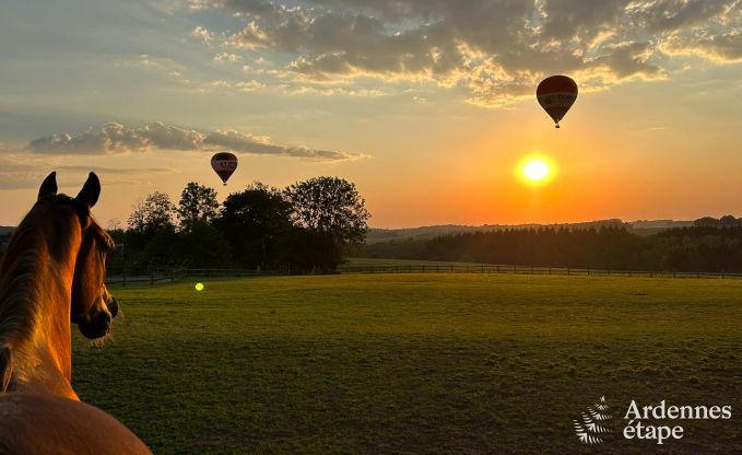 Volledig gerenoveerd, authentiek vakantiehuis in Ouffet, Ardennen