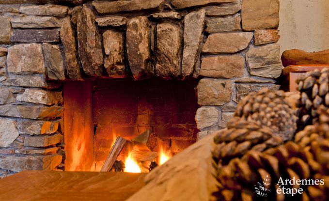 Ruim chalet in Ovifat, Ardennen, 16 personen, 8 slaapkamers, 3 badkamers, sauna, biljart, tuin met privterras