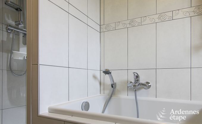 Ruim en modern natuurstenen vakantiehuis in Ovifat, Hoge Venen