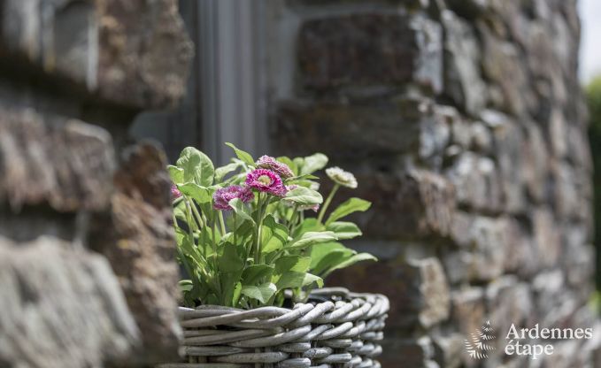 Vakantiehuis in Ovifat voor 6/7 personen in de Ardennen