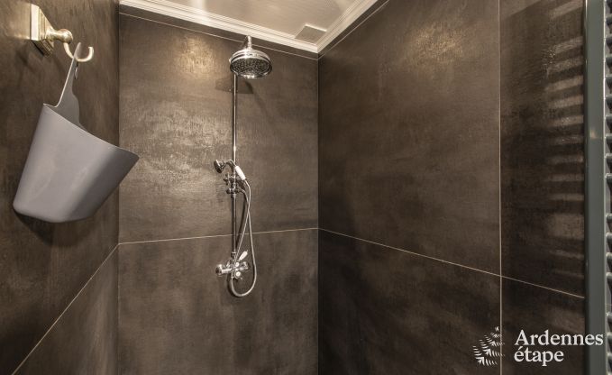 Vakantiehuis in Paliseul voor 16/22 personen in de Ardennen