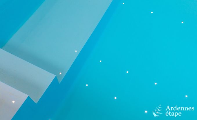 Vakantiehuis met binnenzwembad, sauna en spellen in Paliseul voor 14 personen in de Ardennen