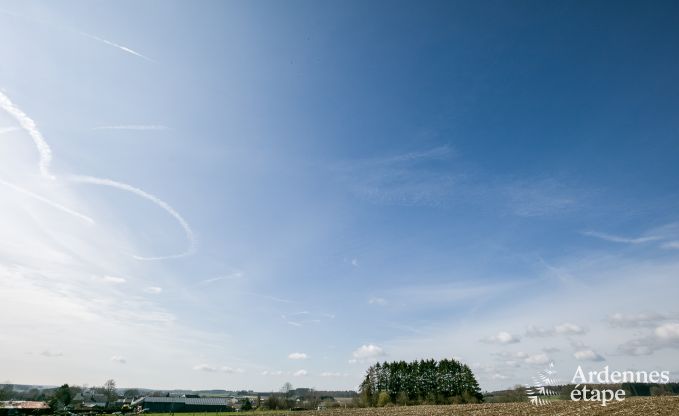 Vakantiehuis met binnenzwembad, sauna en spellen in Paliseul voor 14 personen in de Ardennen