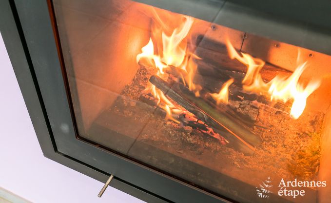 Vakantiehuis met binnenzwembad, sauna en spellen in Paliseul voor 14 personen in de Ardennen