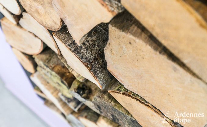 Vakantiehuis met binnenzwembad, sauna en spellen in Paliseul voor 14 personen in de Ardennen