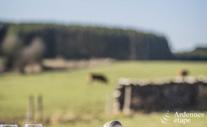 Vakantiehuis in Paliseul voor 4 personen in de Ardennen