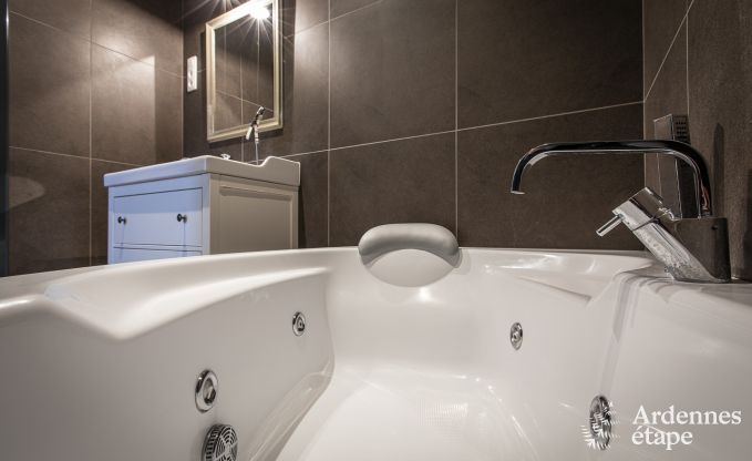 Vakantiehuis in Paliseul voor 16/22 personen in de Ardennen