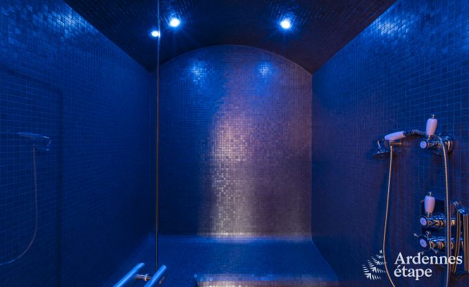 Vakantiehuis in Paliseul voor 16/22 personen in de Ardennen