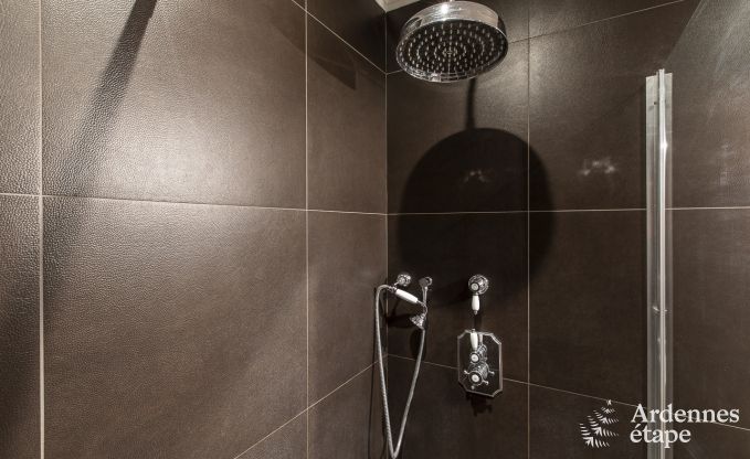 Vakantiehuis in Paliseul voor 16/22 personen in de Ardennen