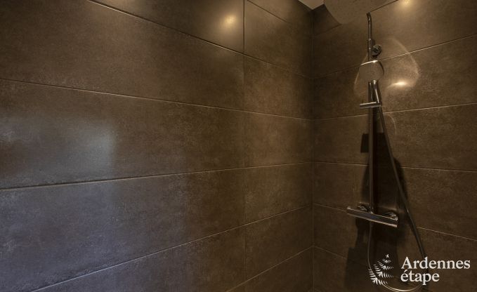 Luxe villa in Paliseul voor 15 personen in de Ardennen