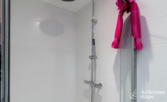 Hoogwaardige vakantiewoning in Paliseul voor 14 personen in de Ardennen