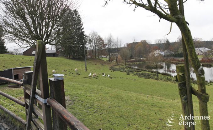 Vakantiehuis in Paliseul voor 6 personen in de Ardennen