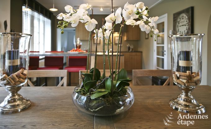 Vakantiehuis in Paliseul voor 8 personen in de Ardennen