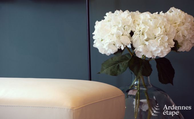 Gezellige vakantiewoning in Paliseul, Belgische Ardennen