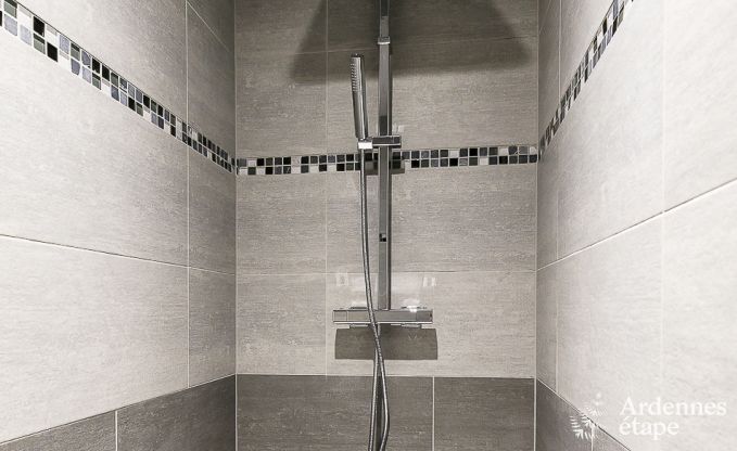 Vakantiehuis met binnenzwembad, sauna en spellen in Paliseul voor 14 personen in de Ardennen