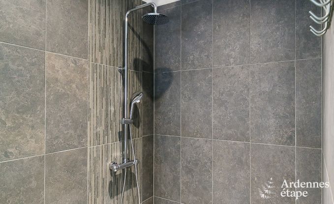 Vakantiehuis met binnenzwembad, sauna en spellen in Paliseul voor 14 personen in de Ardennen