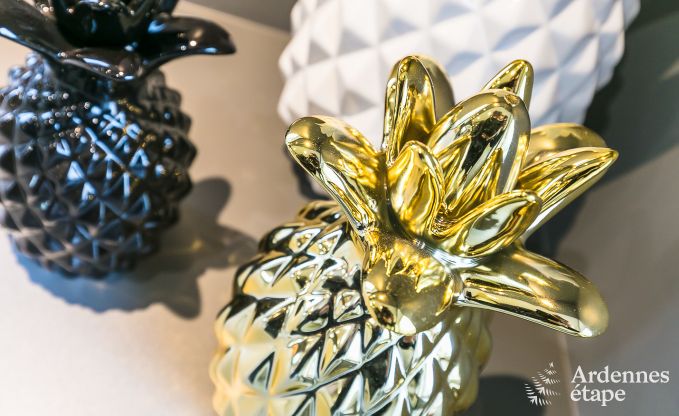 Vakantiehuis met binnenzwembad, sauna en spellen in Paliseul voor 14 personen in de Ardennen