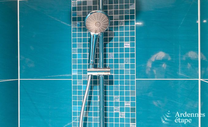 Vakantiehuis met binnenzwembad, sauna en spellen in Paliseul voor 14 personen in de Ardennen