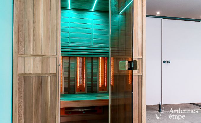 Luxe vakantiehuis in Paliseul met zwembad, wellness en spellen,  voor 28 personen in de Ardennen